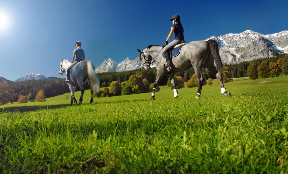Sport & Freizeit Bio-Holzhaus & Landhaus Heimat