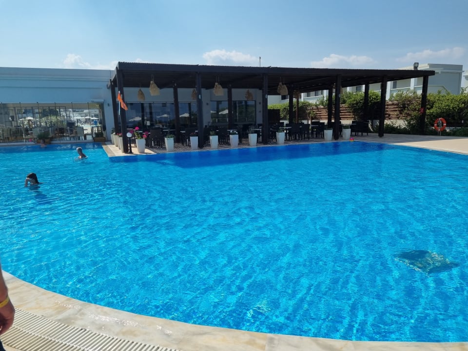 Pool Asterias Beach Resort