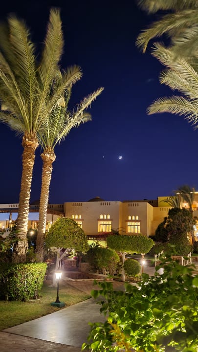 Gartenanlage Steigenberger Coraya Beach - Adults only