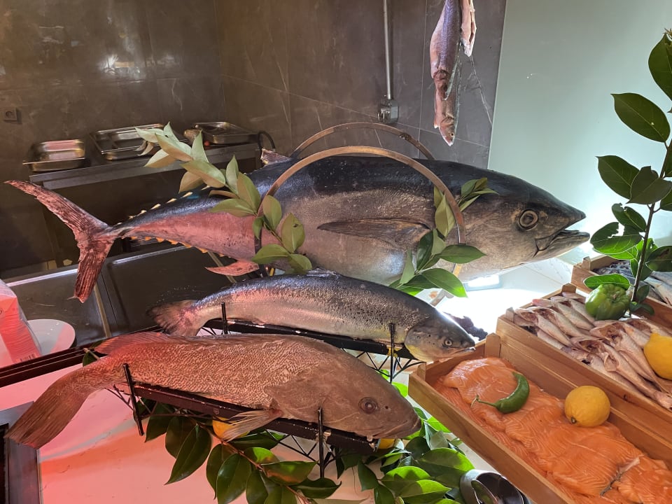 Gastro Seaden Quality Resort & Spa