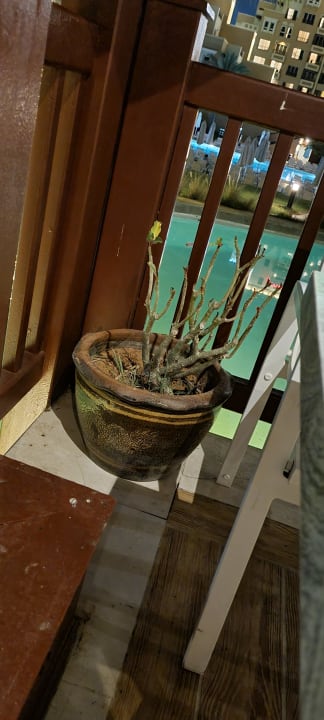 Gastro Rixos Bab Al Bahr