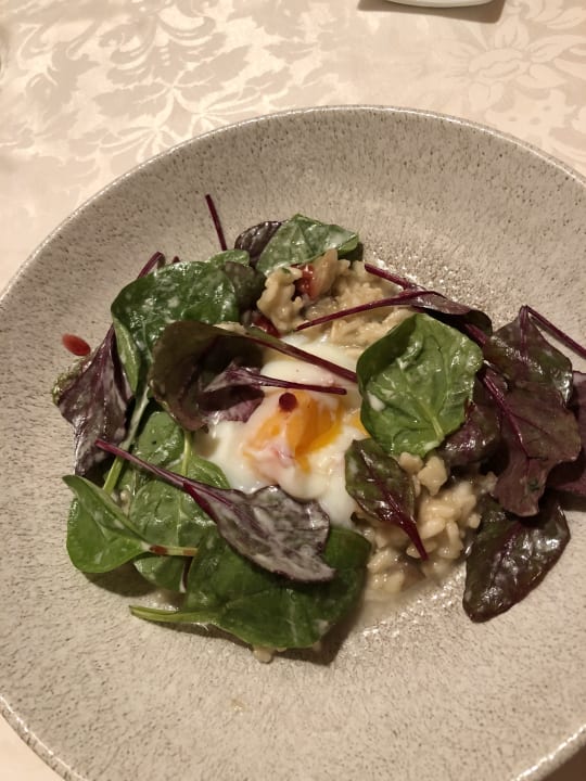 Gastro Natur & Wellnesshotel Höflehner