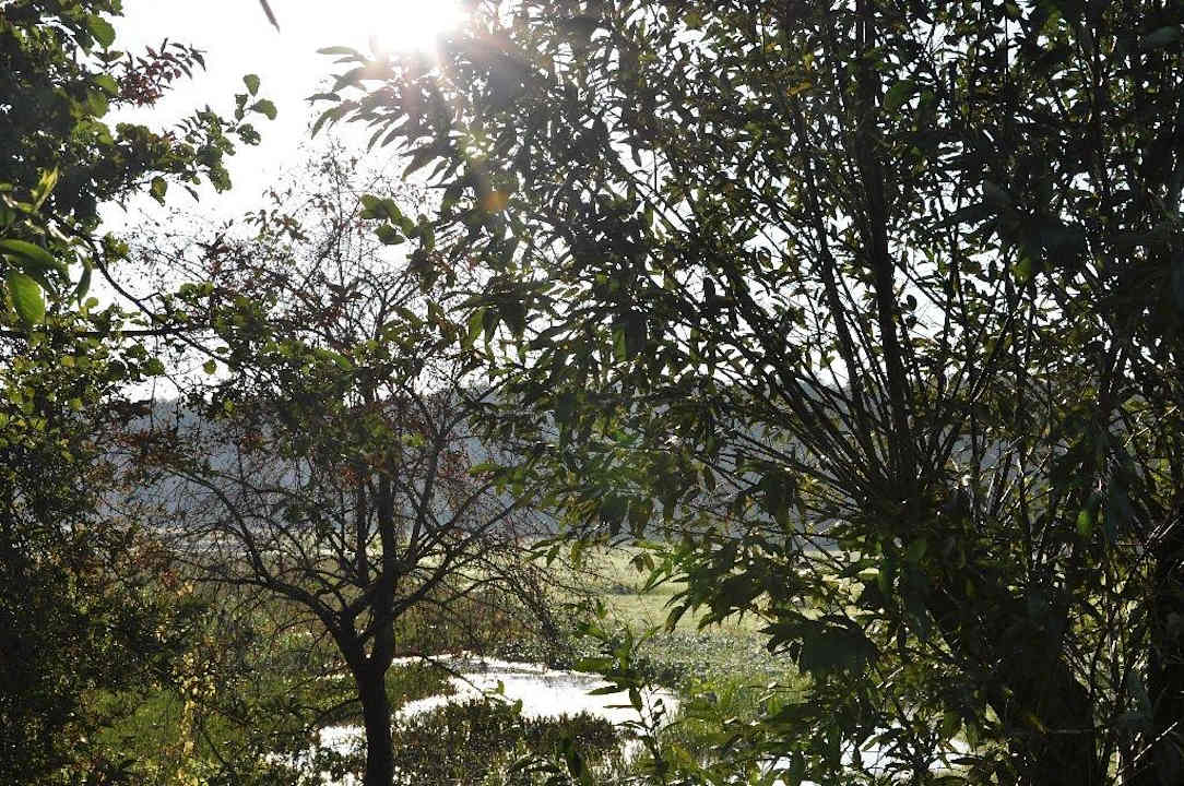 Łąki widziane z Dworku Dworek nad Łąkami Kiermusy