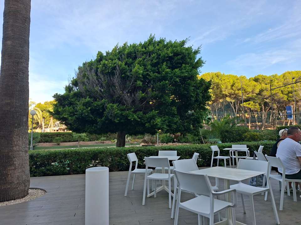 Gartenanlage Hotel Vibra Beverly Playa