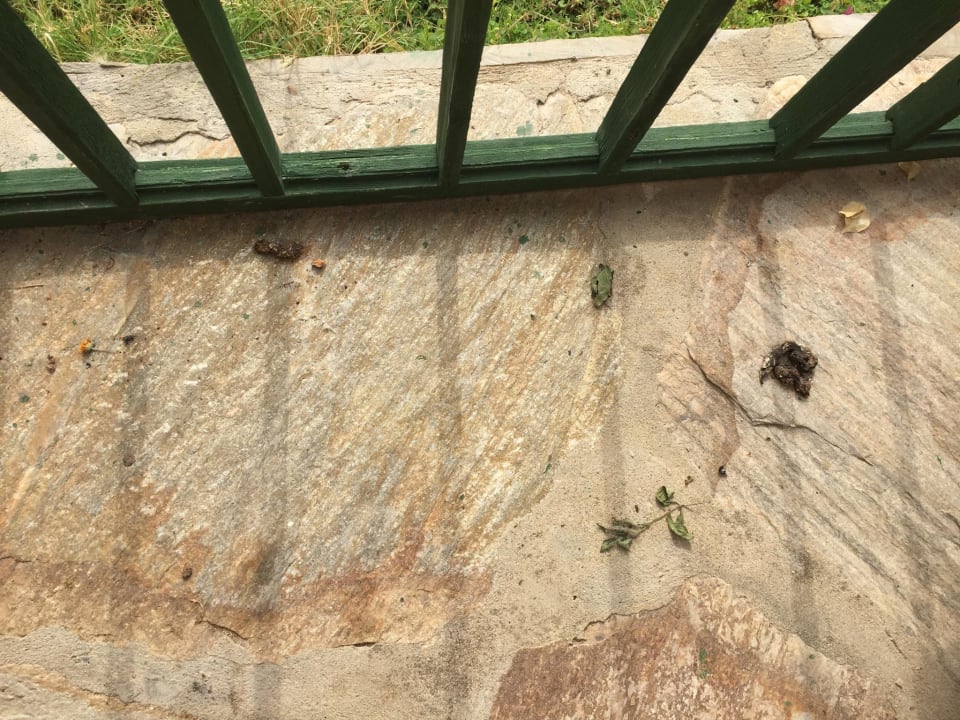 Zimmer Oz Hotels Incekum Beach