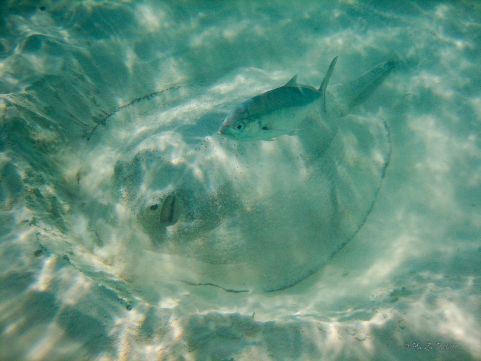 Sport & Freizeit Summer Island Maldives