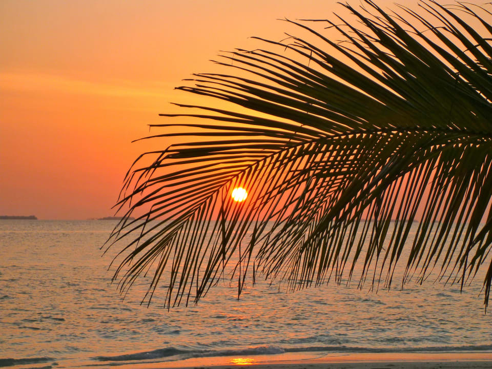Sonnenaufgang Fihalhohi Maldives