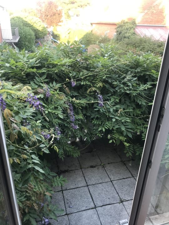 Außenansicht Hotel Zur Börse