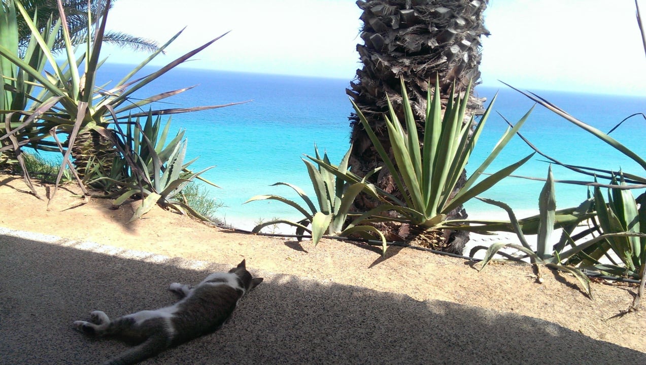 Lieblingsplatz ROBINSON ESQUINZO PLAYA