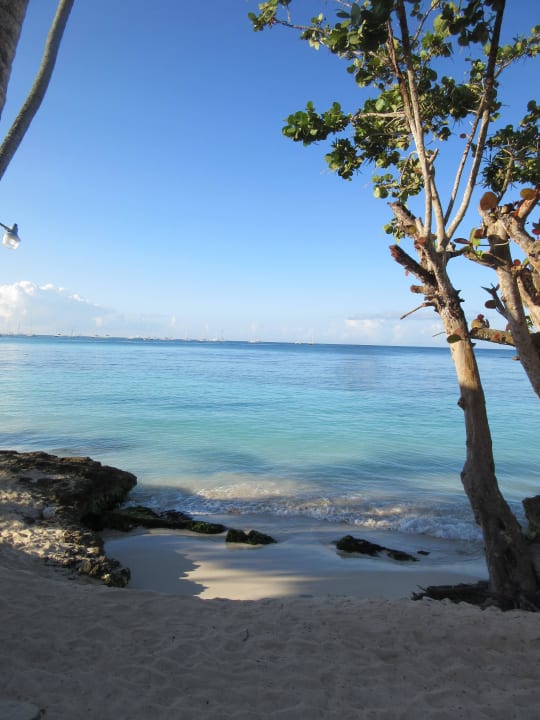 Karibik Wasser! Dreams La Romana Resort & Spa