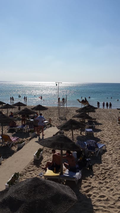 Hoteleigener Strand Samira Club