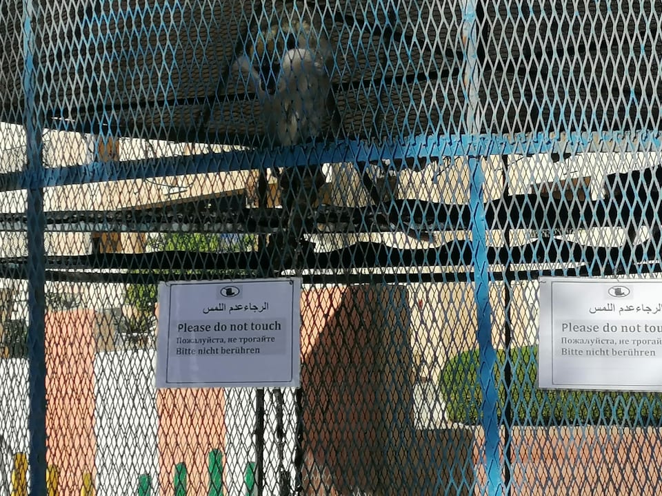 Sport & Freizeit King Tut Resort