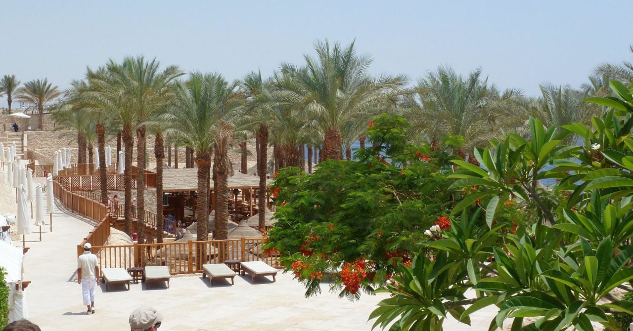 Bar / Strand The Grand Hotel Sharm El Sheikh