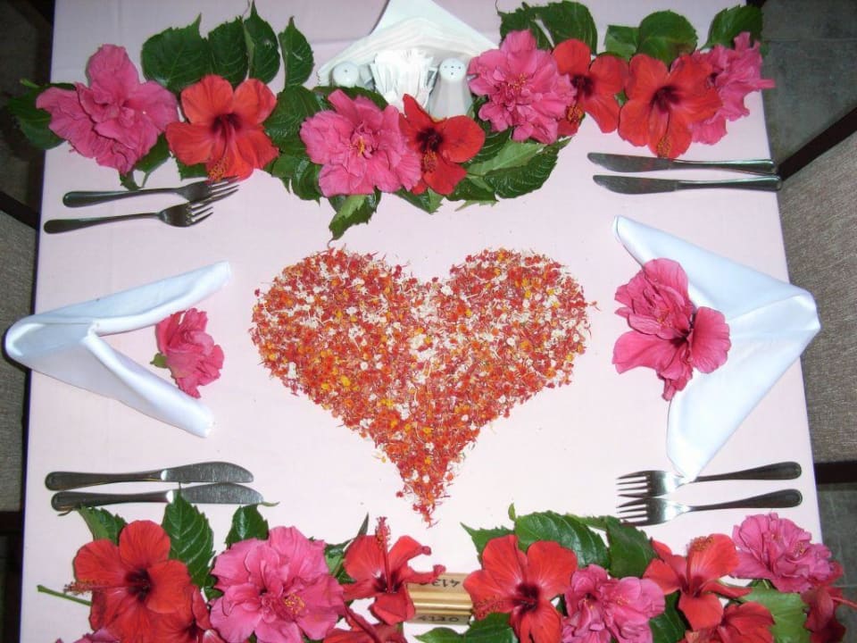 Sieht schön aus --ist aber traurig Hotel Defne Star