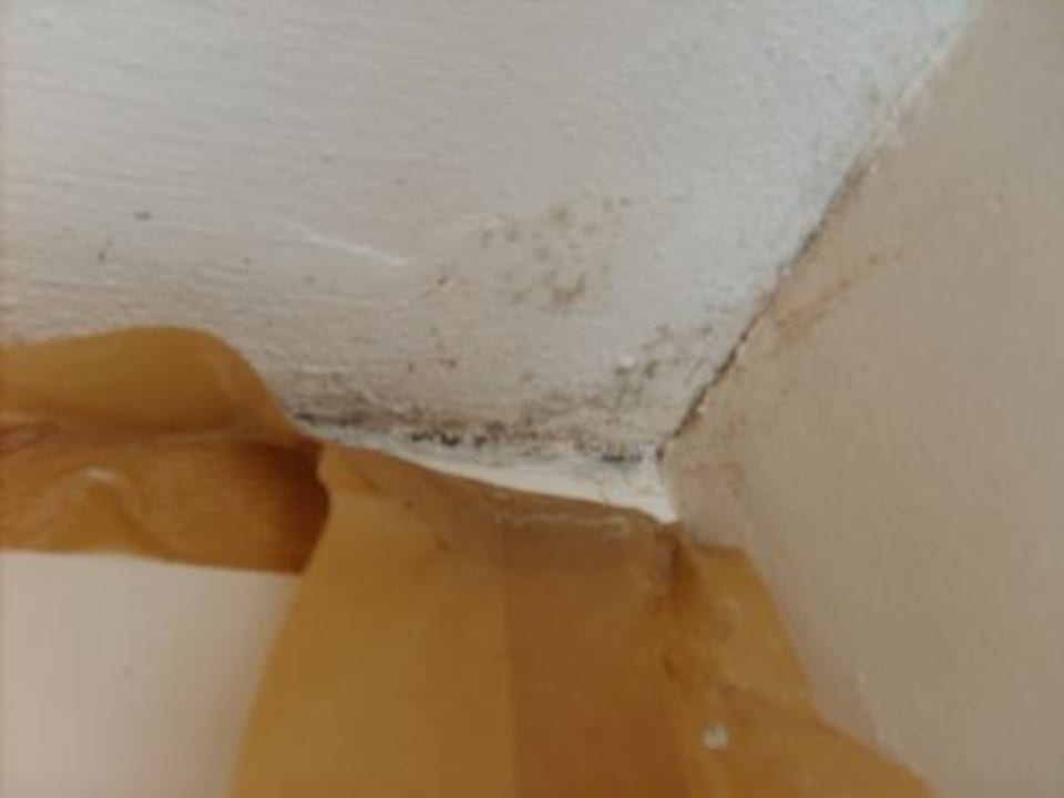 Unzumutbare Gesundheitsgefährdung Michels Strandhotel Germania