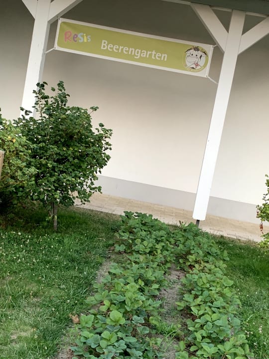 Gartenanlage BEECH Resort Boltenhagen