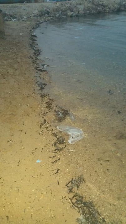 Strand Royal Star Beach Resort