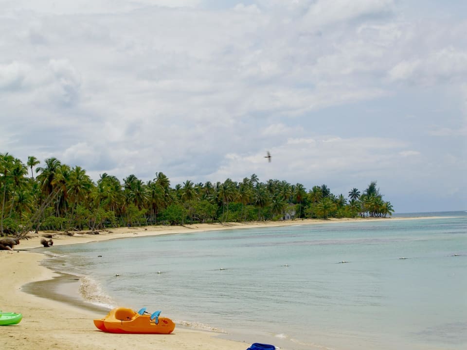 Und dann immer weiter nach Las Terrenas Bahia Principe Grand El Portillo