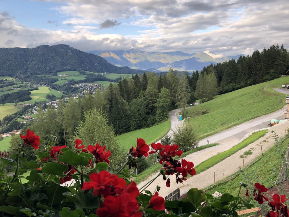 Ausblick Almgasthof Baumschlagerberg