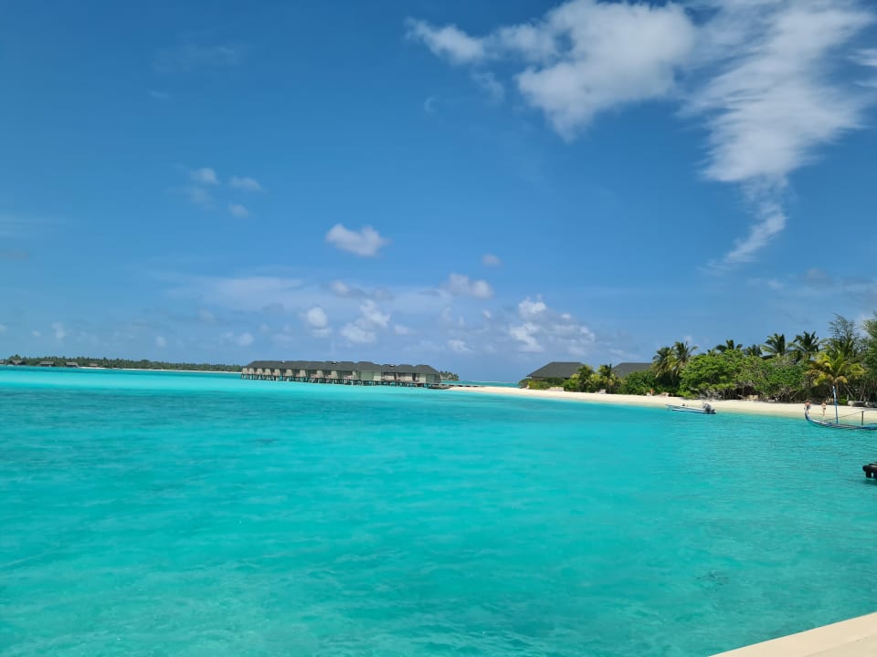 Strand Summer Island Maldives