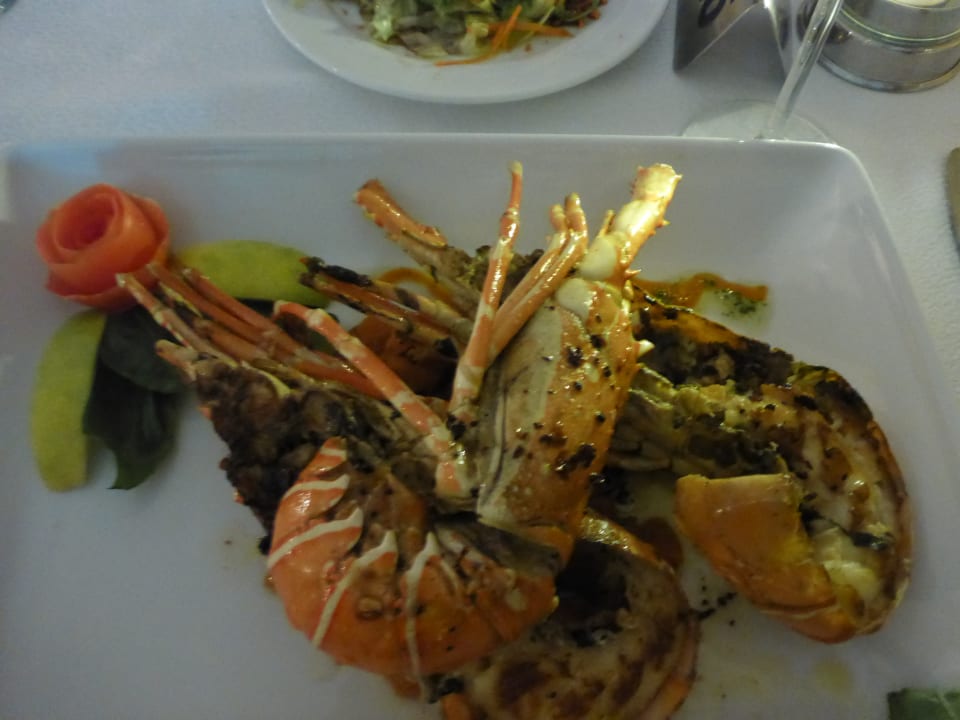 Gastro Hotel Gorgonia Beach Resort