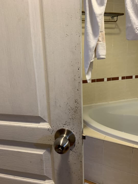 Zimmer Iberostar Origin Laguna Azul