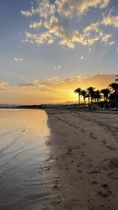 Strand Palm Royale Resort - Soma Bay