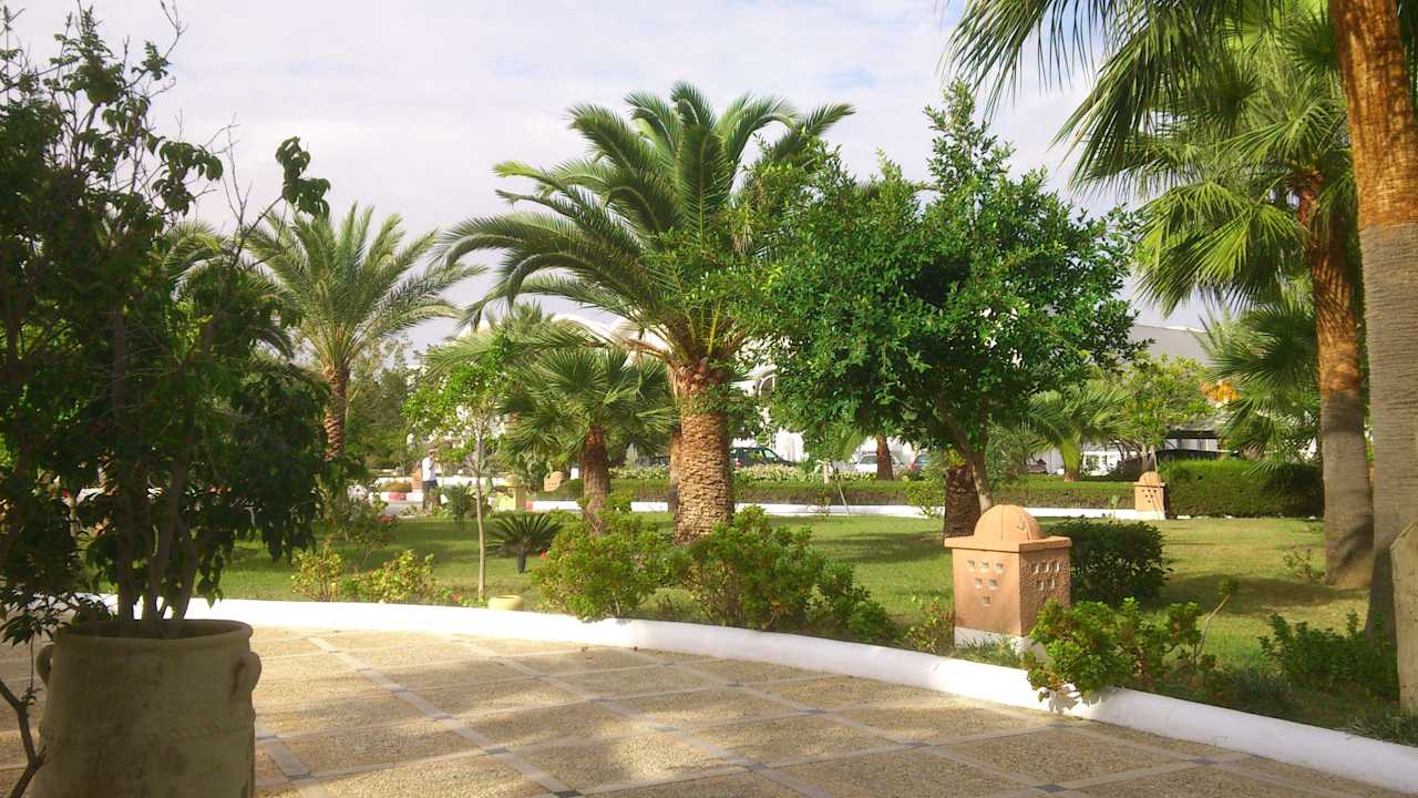 Palmen soweit das Auge reicht Alassio Hotel and Thalasso