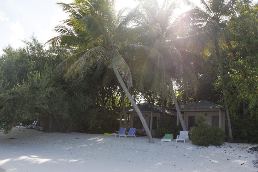 Unser Bungi Nr. 30 Summer Island Maldives