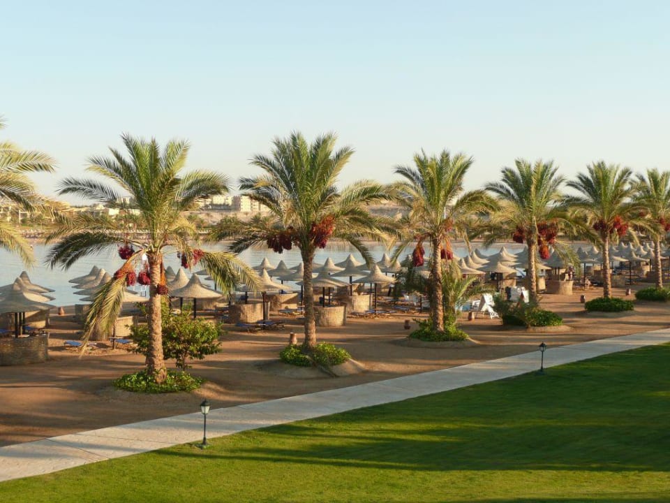 Strand Steigenberger Coraya Beach - Adults only