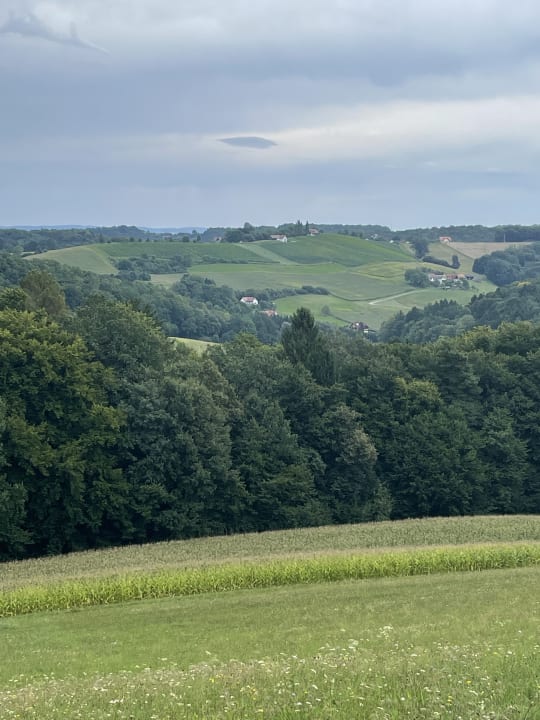 Ausblick Weingarten-Resort Unterlamm Loipersdorf