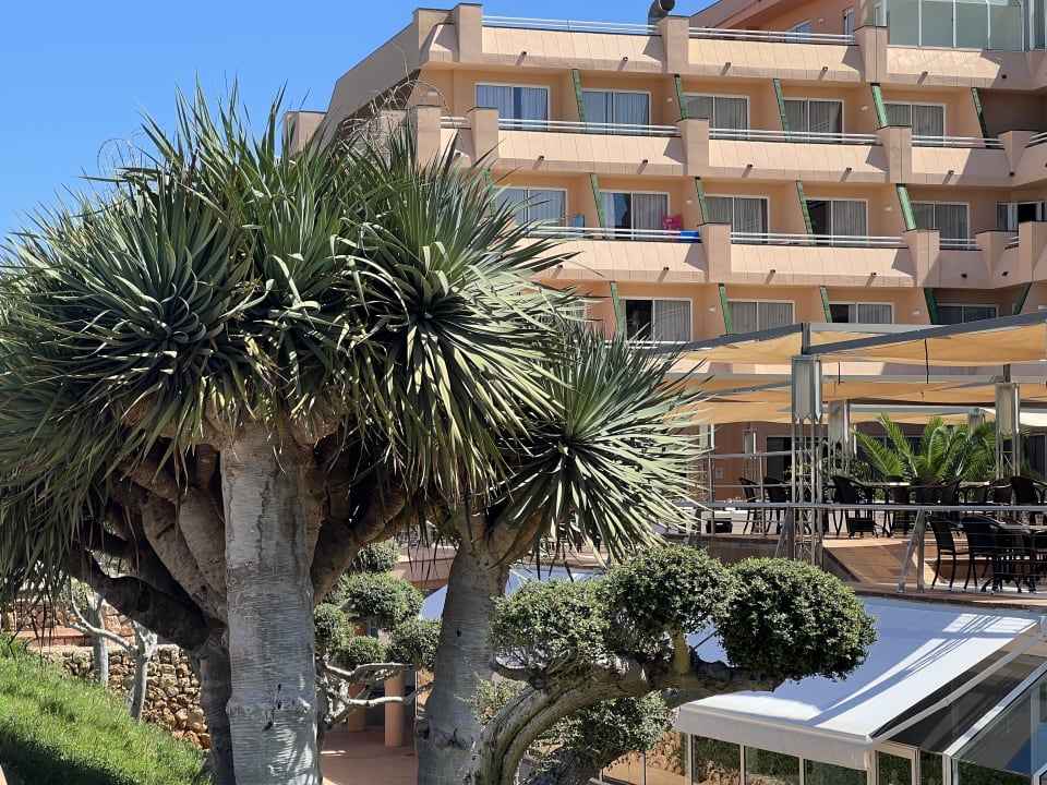 Ausblick Hotel Mariant Park