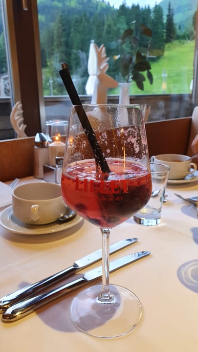 Gastro Berghotel Hochfügen