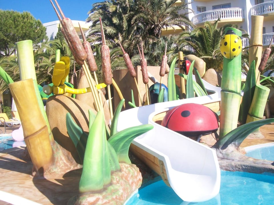Neuer Splah Pool Iberostar Selection Albufera Park