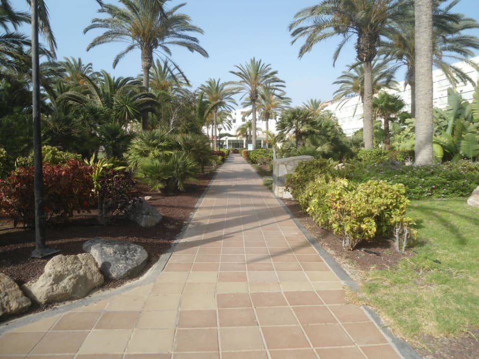 Der Weg zum Spa SBH Hotel Costa Calma Palace