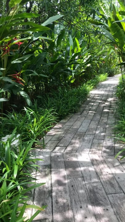 Gartenanlage Bangsak Village