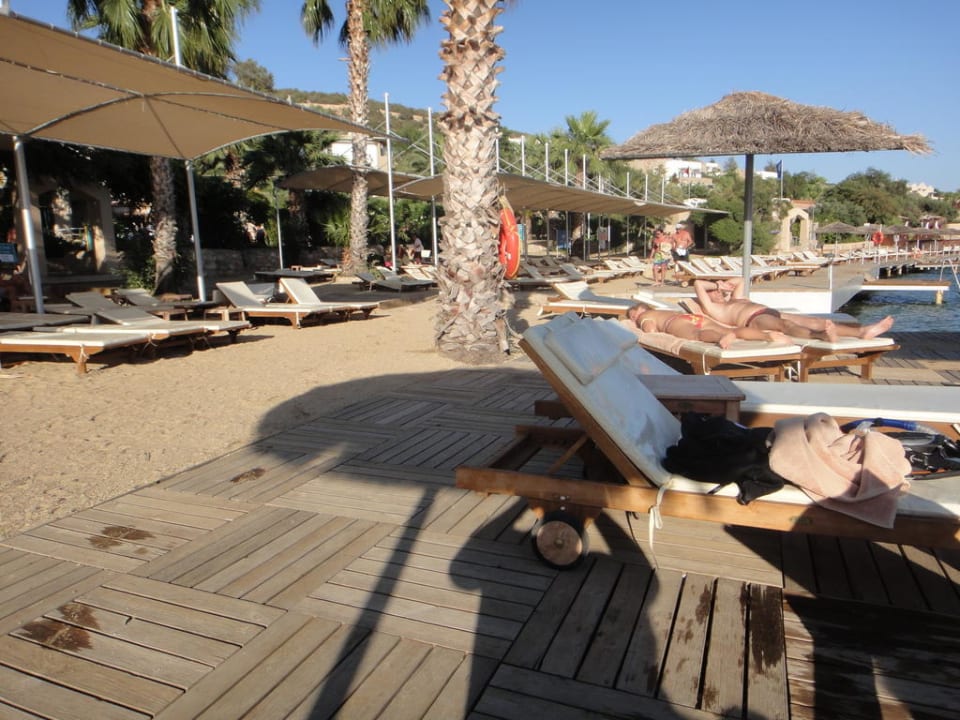 Plaza TUI MAGIC LIFE Bodrum - Adult Only (16+)