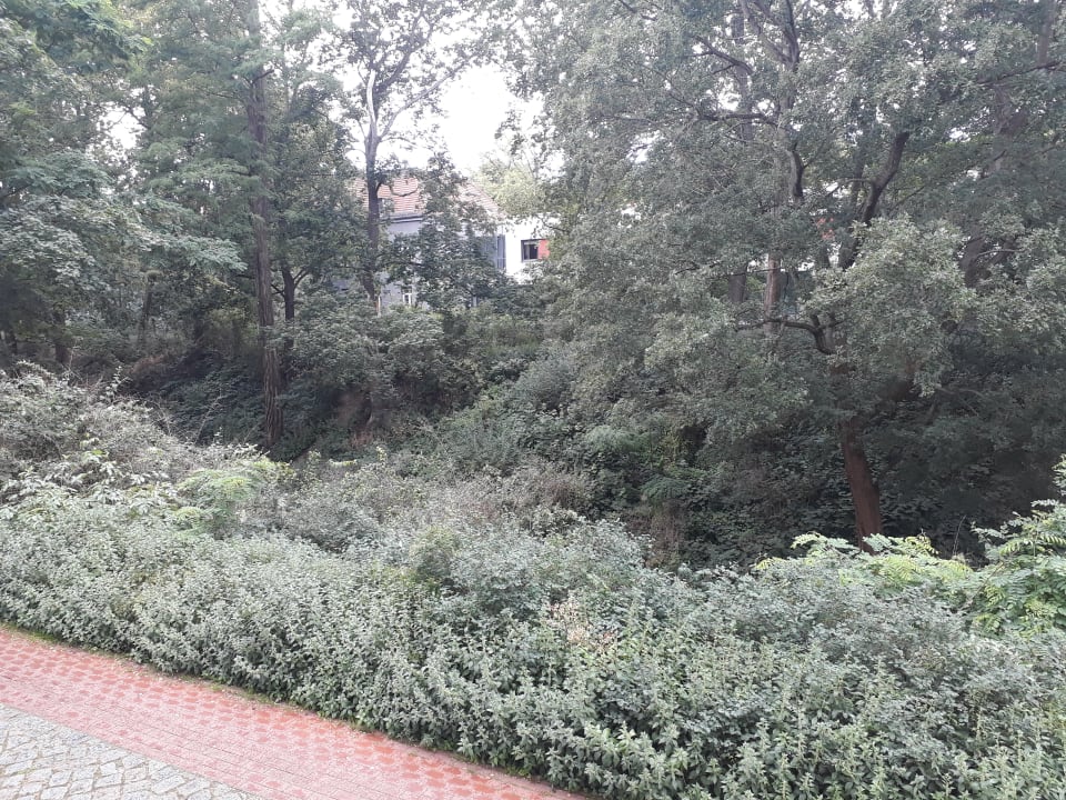 Ausblick SORAT Hotel Brandenburg