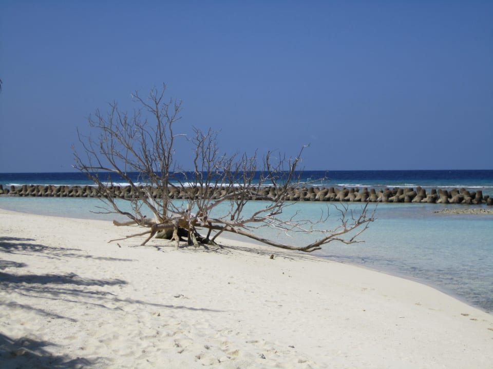 O Beach Seite Kuredu Island Resort & Spa