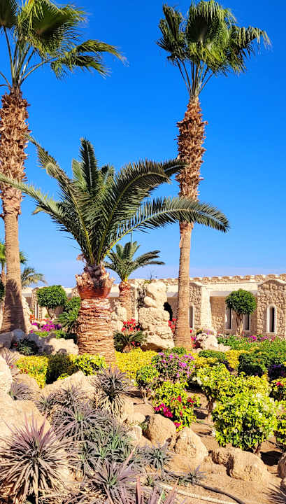 Gartenanlage Pickalbatros Citadel Resort