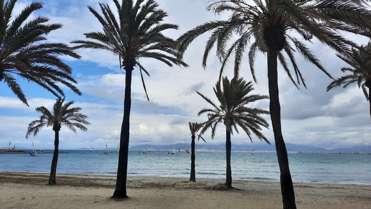 Strand Iberostar Selection Playa de Palma