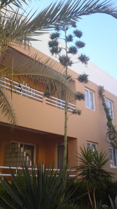 Club Calimera Hurghada Golden Beach Resort