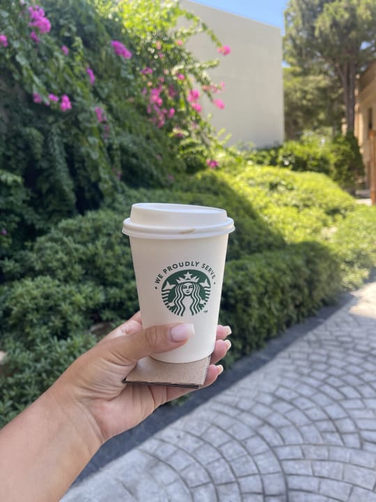 Gastro Rixos Premium Belek