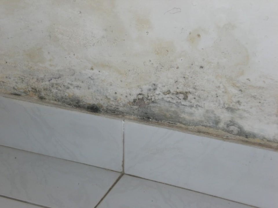 Family-Zimmer Wunderbar Beach Club Hotel