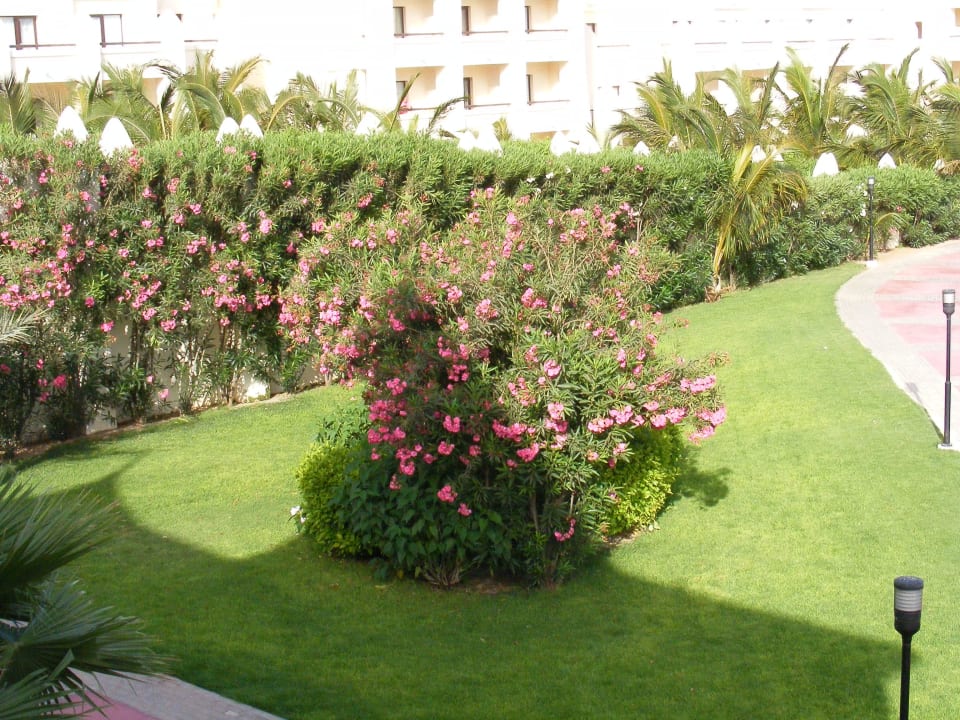 Ausblick aus der Lobby Hotel Riu Karamboa