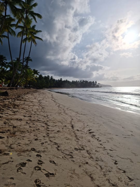 Strand Viva V Samana by Wyndham – Adults Only