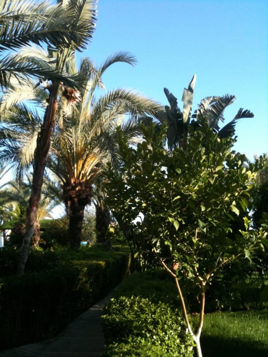 Klein aber fein Granada Luxury Okurcalar