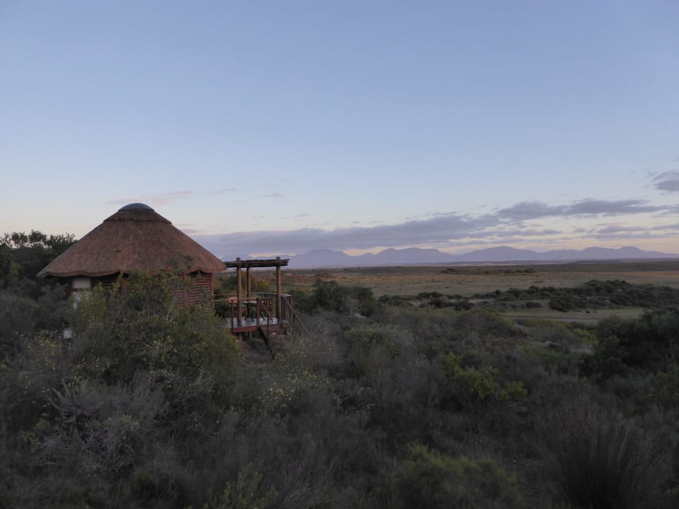 Rundhütte mit Blick zum Park Hotel Garden Route Game Lodge