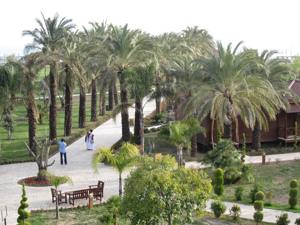 Familienzimmer mit Meerblick Calimera Serra Palace