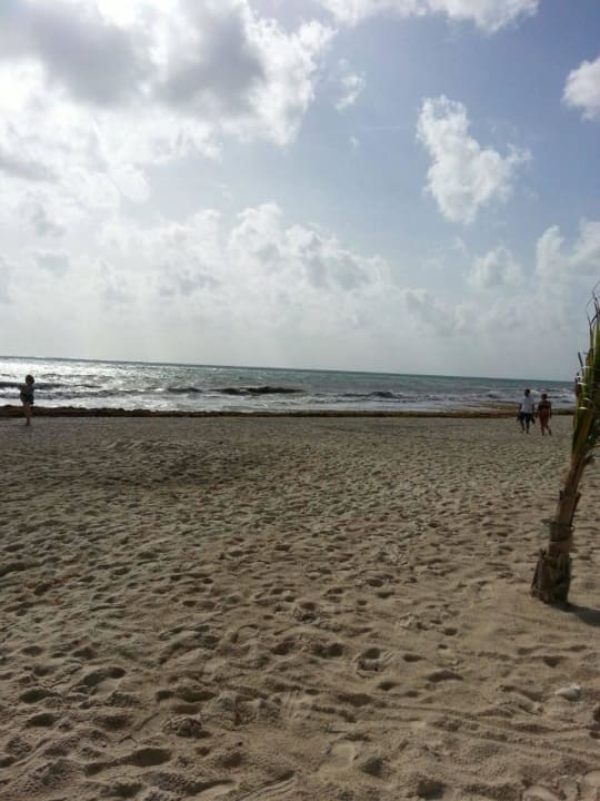 Hotel Catalonia Playa Maroma Catalonia Playa Maroma